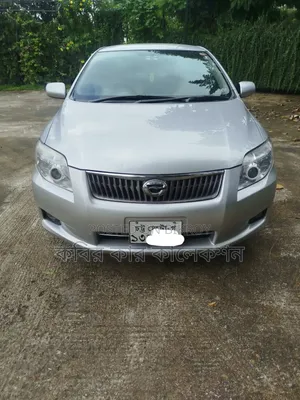 Toyota Axio 2011 Silver