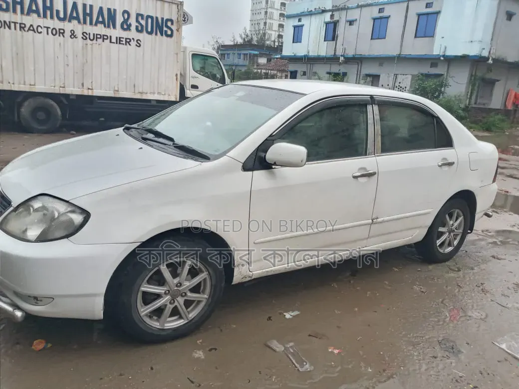 Toyota Corolla 2003 White