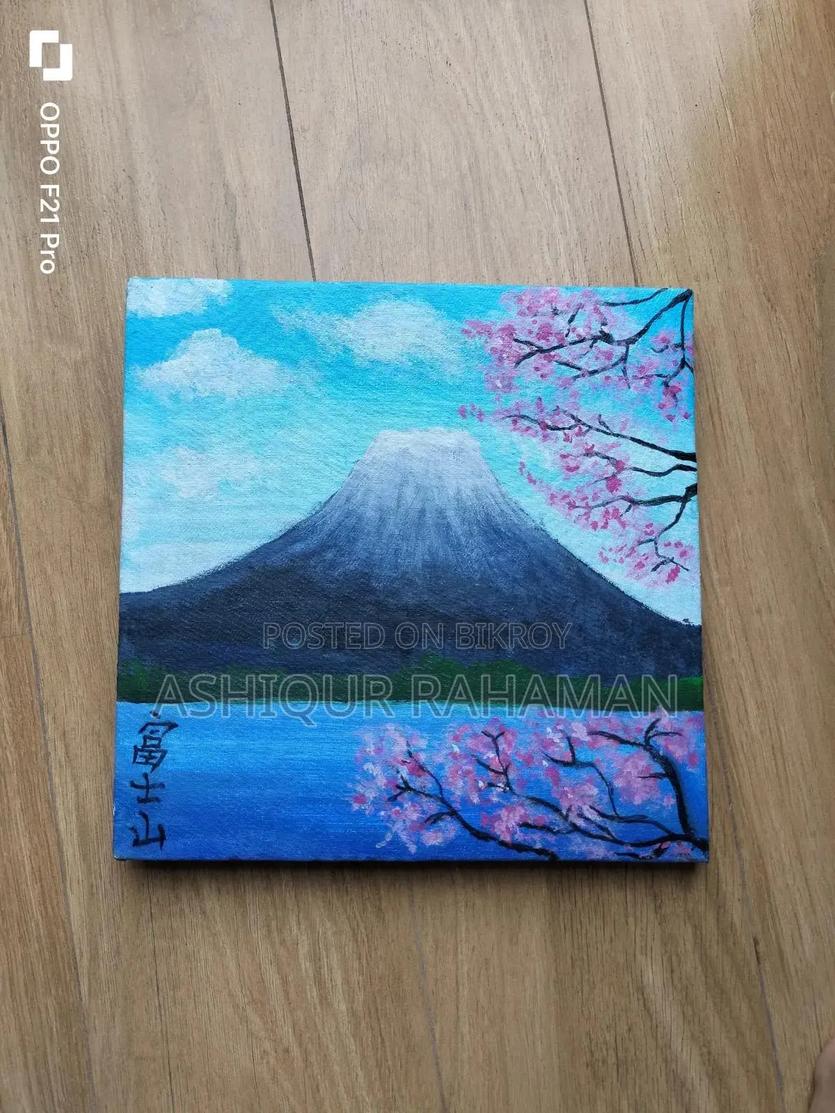 A beautiful painting bought from a fair