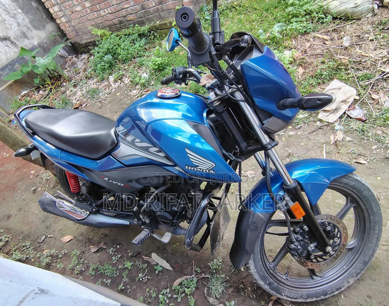 Honda Livo 2018 Blue
