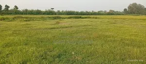 টঙ্গি ঘোড়াশাল হাইওয়ে রোডের সাথে ৬৫ কাঠা জমি বিক্রয় হইবে।