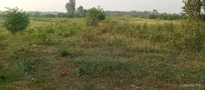 টঙ্গি ঘোড়াশাল হাইওয়ে রোডের সাথে ৬৫ কাঠা জমি বিক্রয় হইবে।