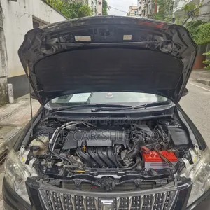 Toyota Premio 2010 Black