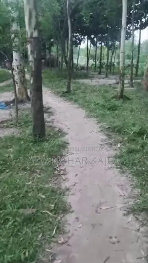 ২.২৪ ডিসিমাল জায়গা বিক্রয় করা হবে। ফুলবাড়ি খেয়াঘাট, সিরাজগঞ্জ সদর