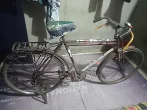 সাইকেল ১০০% ঠিক আছে