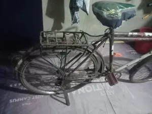 সাইকেল ১০০% ঠিক আছে