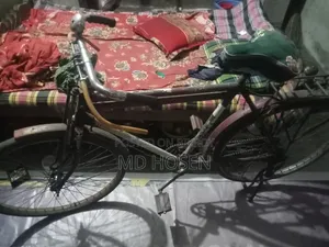 সাইকেল ১০০% ঠিক আছে