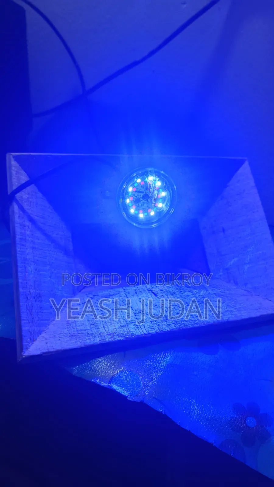 Aquarium for Fish