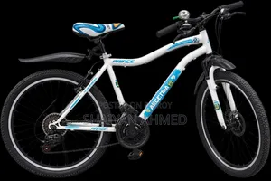 Argentina Livery Bicycle