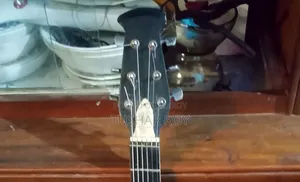 Acoustic Guitar