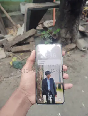 Oppo Reno 10 5G 256 GB