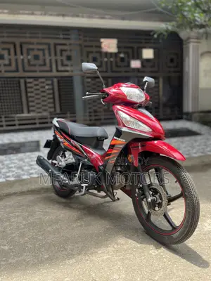 রানার চিিতা ১০০ ২০২৬ রেড