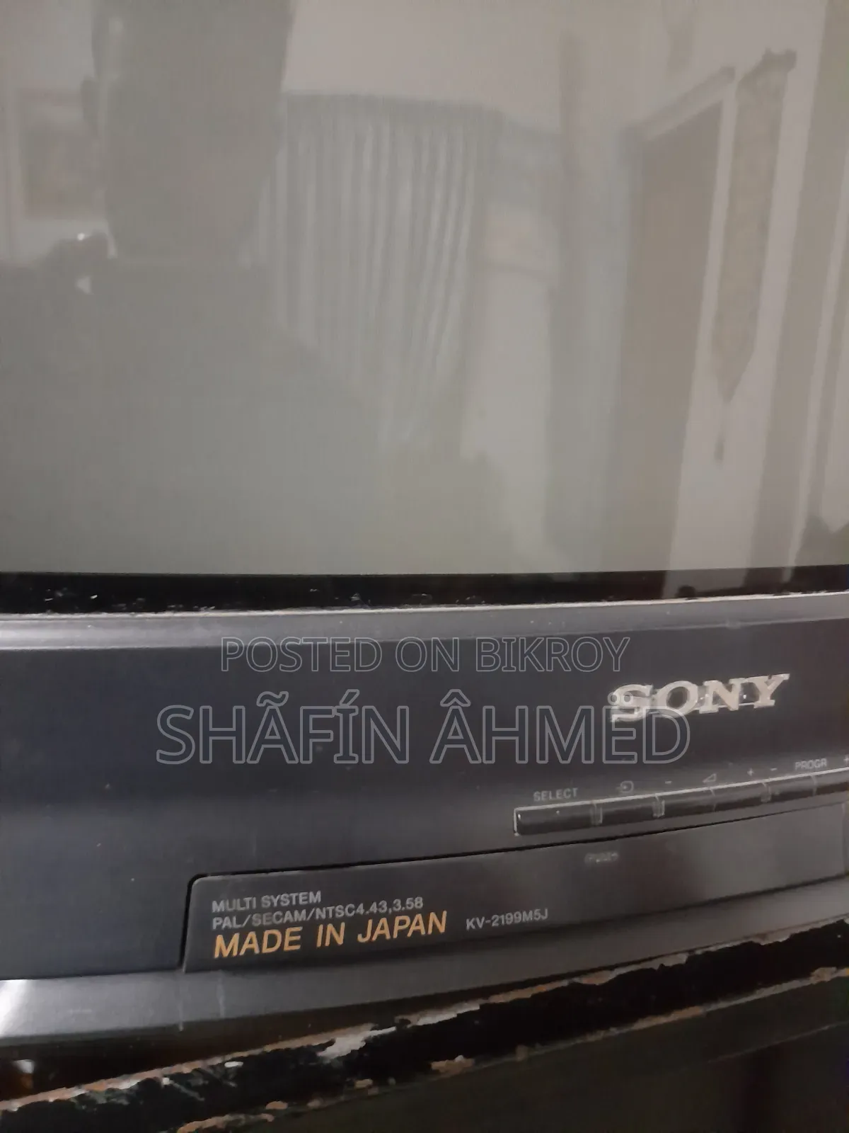 টেলিভিশন