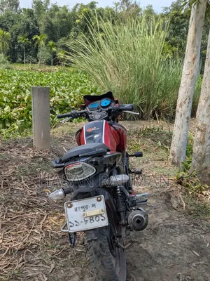 টিভিএস আপাচি আরটিআর ১৬০ টুভি ২০১৮ লাল