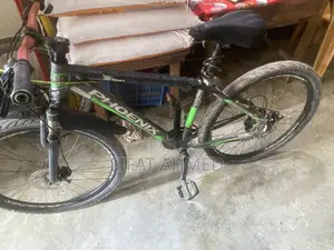 Phonix Cycle