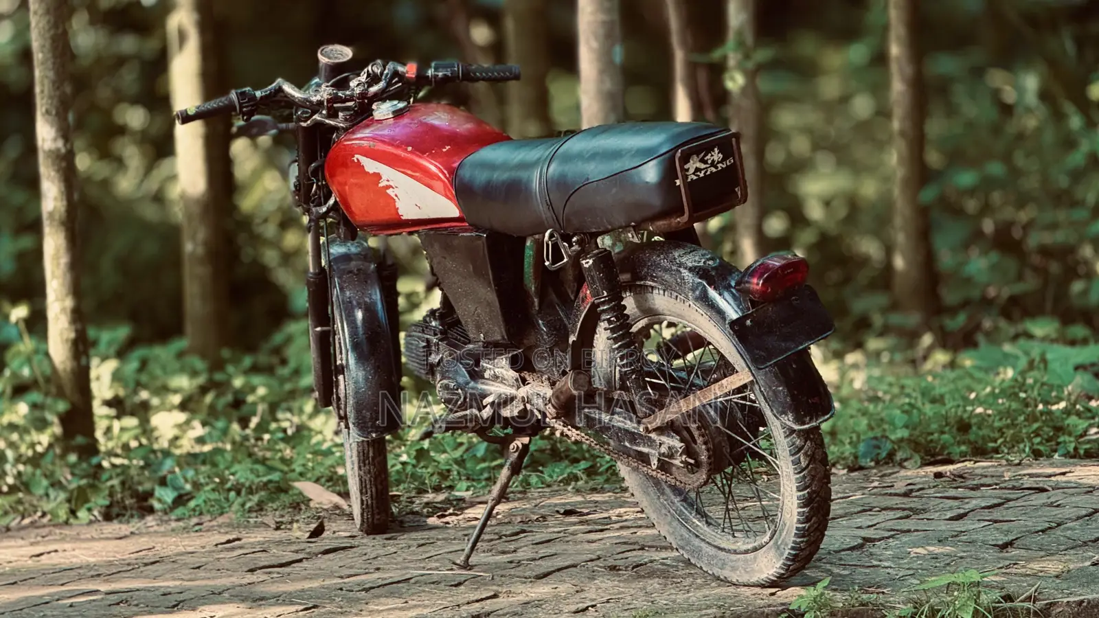 Dayang DY100-A 2018 Red