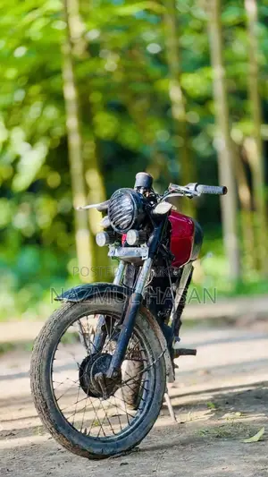 দায়াং ডিওয়াই১০০-এ ২০১৮ রেড