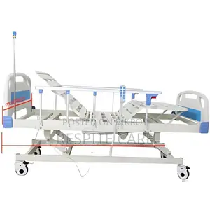 Three Function Electric Bed with Standard Accessories