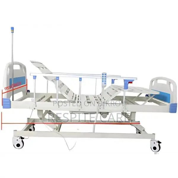 Three Function Electric Bed with Standard Accessories
