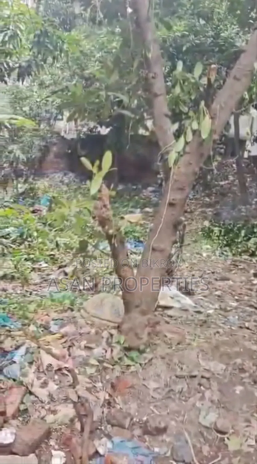 মিরপুর ১১.৫ বর্ধিত পল্লবী ৫ কাঠা দক্ষিণমুখী জমি বিক্রয়ের জন্য