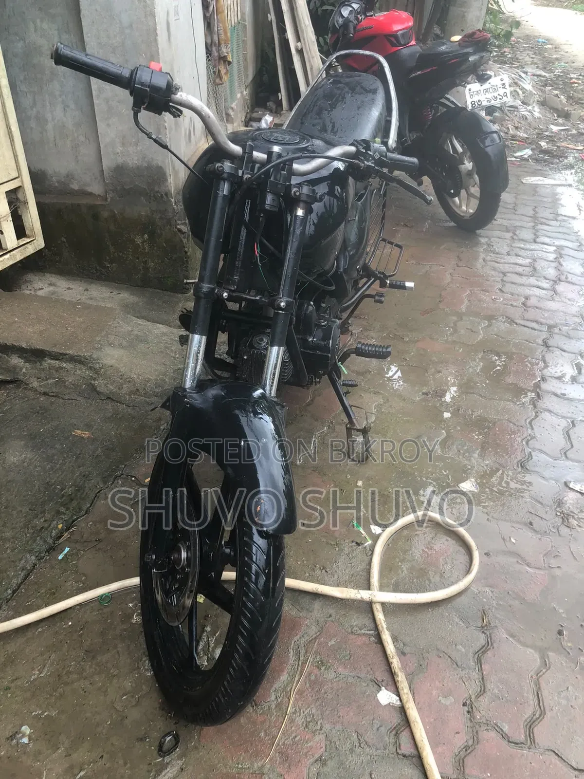 Walton Cruize 2011 Black