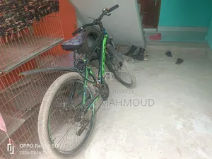 Phoenix Cycle