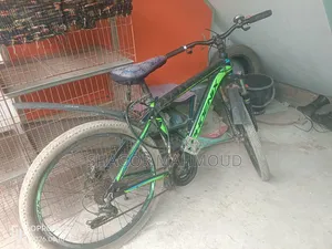 Phoenix Cycle