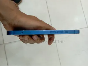 অ্যাপল আইফোন ১৩ ১২৮ জিবি নীল