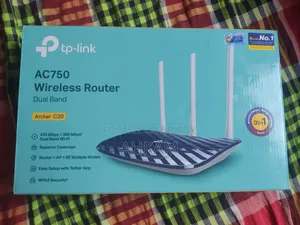 ওয়্যারলেস রাউটার সি২০