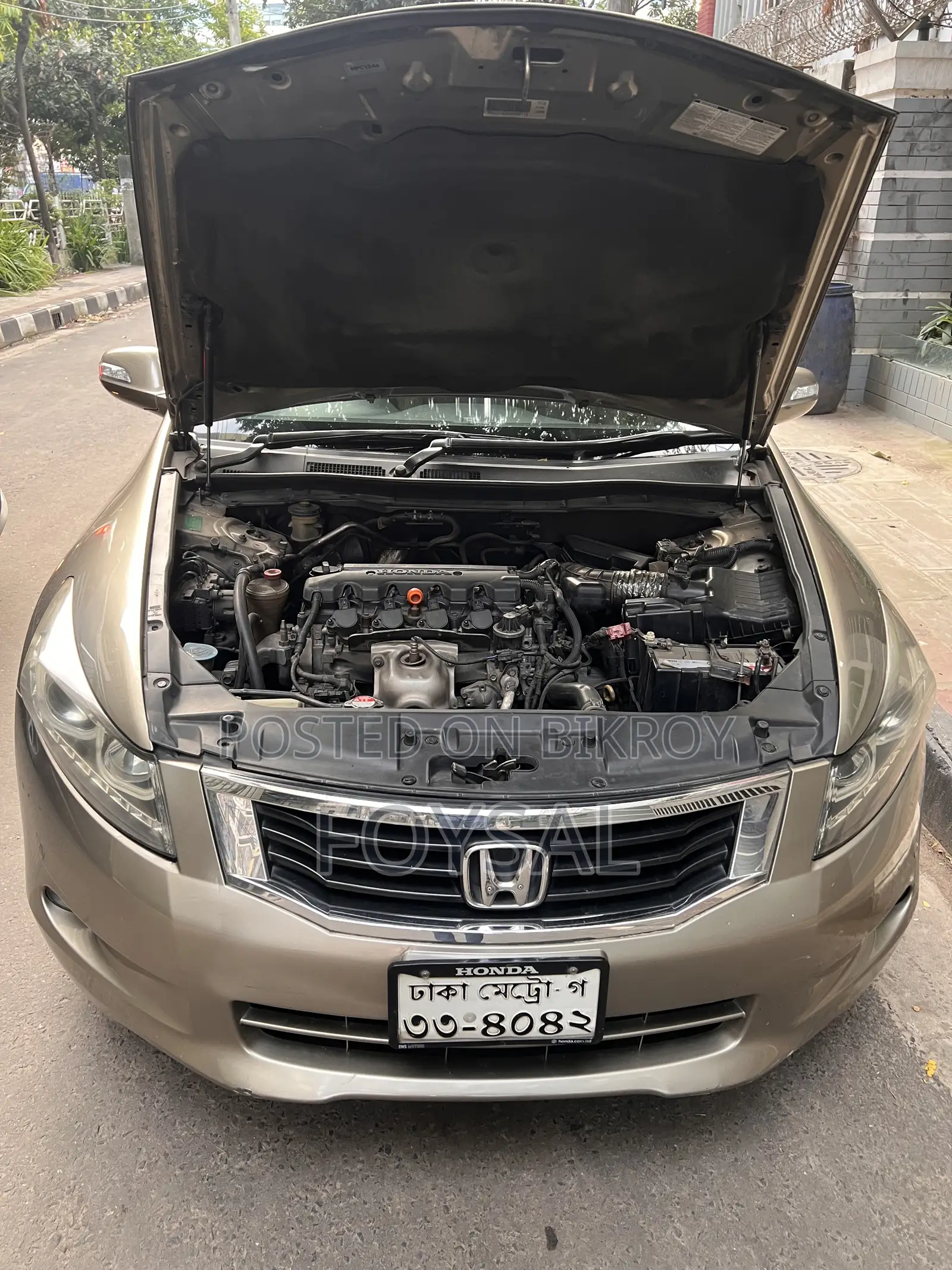 Honda Accord 2011 Gold