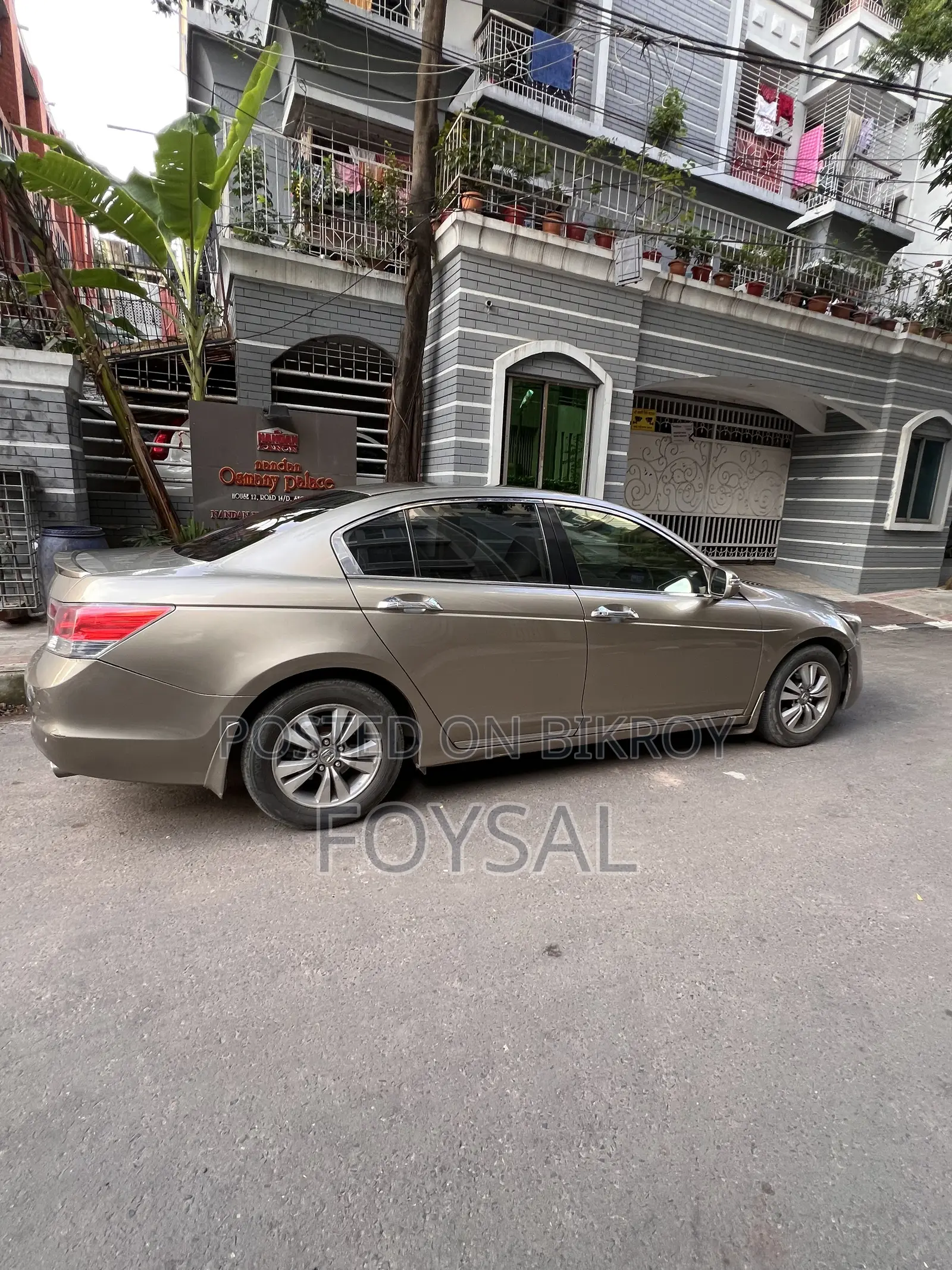 Honda Accord 2011 Gold