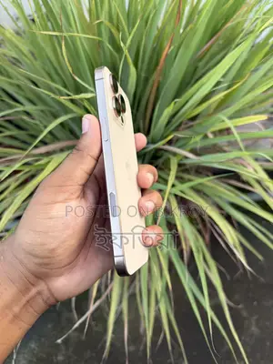 Apple iPhone 16 Pro Max 256 GB Gold