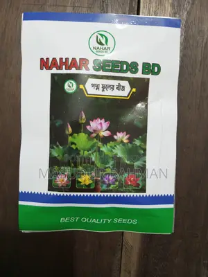 Japanese Lotus Flower Seeds