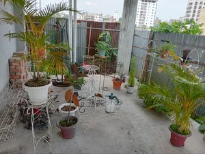 13 pcs plant stands for sale, along with many free plants, soil, and pots