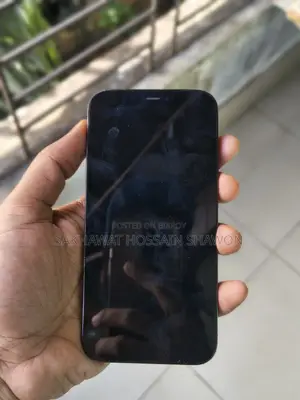 অ্যাপল আইফোন ১২ প্রো ২৫৬ জিবি ব্লু