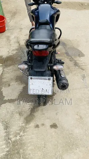 হিরো হাঙ্ক ২০১৮ নীল