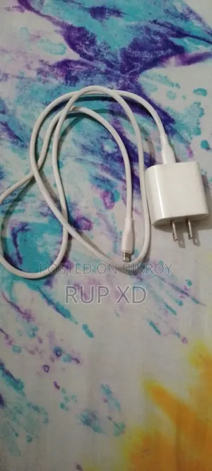 Apple Charger