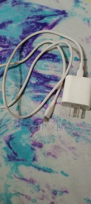 Apple Charger