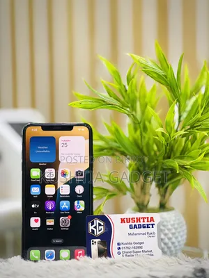 Apple iPhone XS Max 64 GB Black