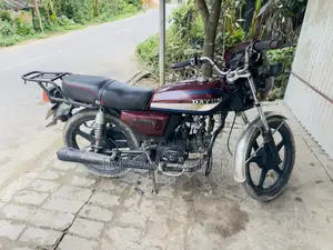 দাওয়ান ডিওয়াই১০০-এ ২০১৫ রেড
