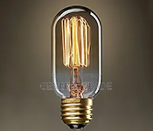 Vintage old fashioned Edison Lamp 40W 220V KINGSO