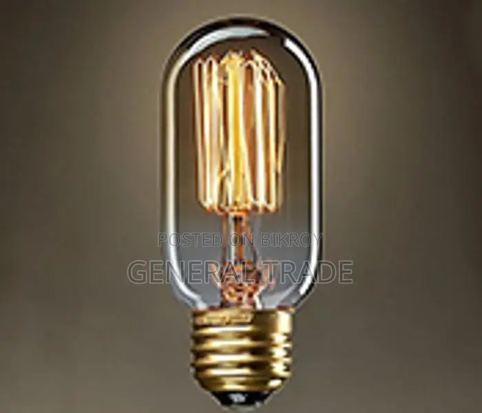 Vintage old fashioned Edison Lamp 40W 220V KINGSO