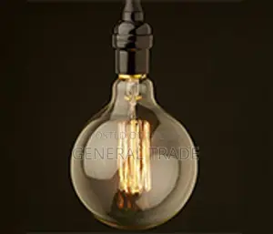 VintageIncandescent Globe old fashioned Edison Lamp 40W 220V