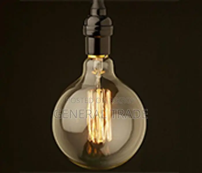 VintageIncandescent Globe old fashioned Edison Lamp 40W 220V
