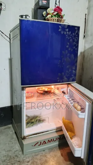 Jamuna Fridge