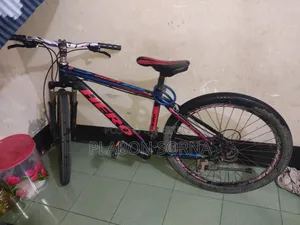 New Hero 2024 Red