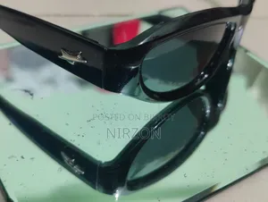 Cyberpunk Sunglass From Golglass