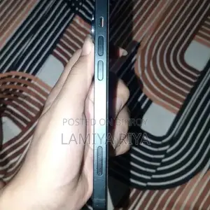 Apple iPhone 13 256 GB Black