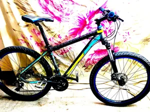 Core Bicycle