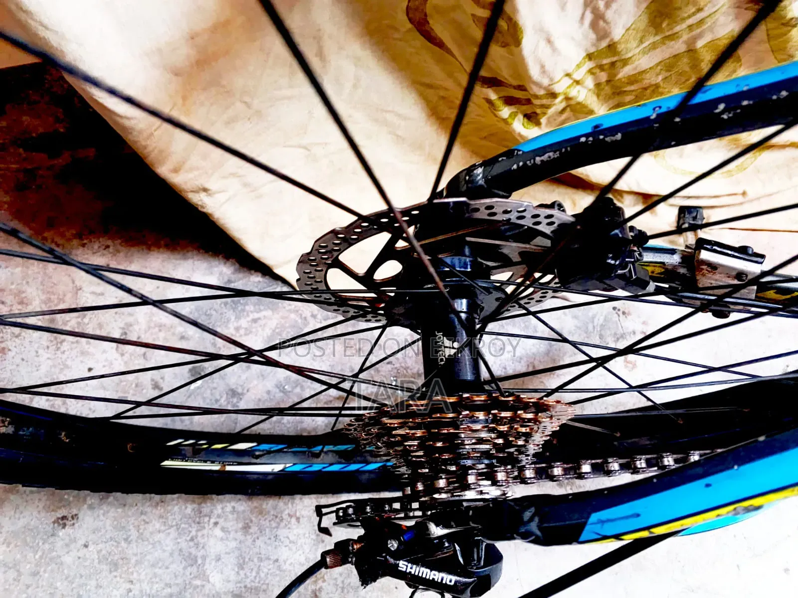 Core Bicycle